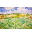 Puzzle da 1000 Pezzi - Vincent Van Gogh: Plain near Auvers