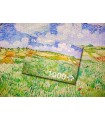 Puzzle da 1000 Pezzi - Vincent Van Gogh: Plain near Auvers