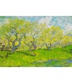 Puzzle 1000 pezzi Vincent Van Gogh Orchard in Blossom