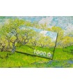 Puzzle 1000 pezzi Vincent Van Gogh Orchard in Blossom