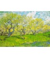 Puzzle 1000 pezzi Vincent Van Gogh Orchard in Blossom