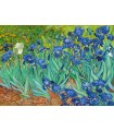 Puzzle da 1000 Pezzi - Vincent Van Gogh: Irises