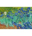 Puzzle da 1000 Pezzi - Vincent Van Gogh: Irises