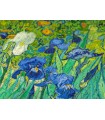 Puzzle da 1000 Pezzi - Vincent Van Gogh: Irises