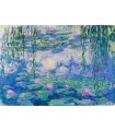 Puzzle 1000 pezzi Claude Monet Nympheas