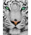 Puzzle 1000 pezzi White Siberian Tiger