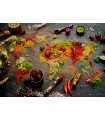 Puzzle 1000 pezzi World Map in Spices