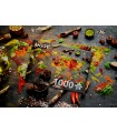 Puzzle 1000 pezzi World Map in Spices