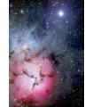 Puzzle da 1000 Pezzi - The Trifid Nebula