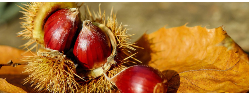 Le novità di Ottobre